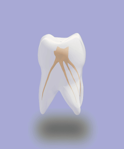 endodoncia granada