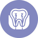 odontologia granada